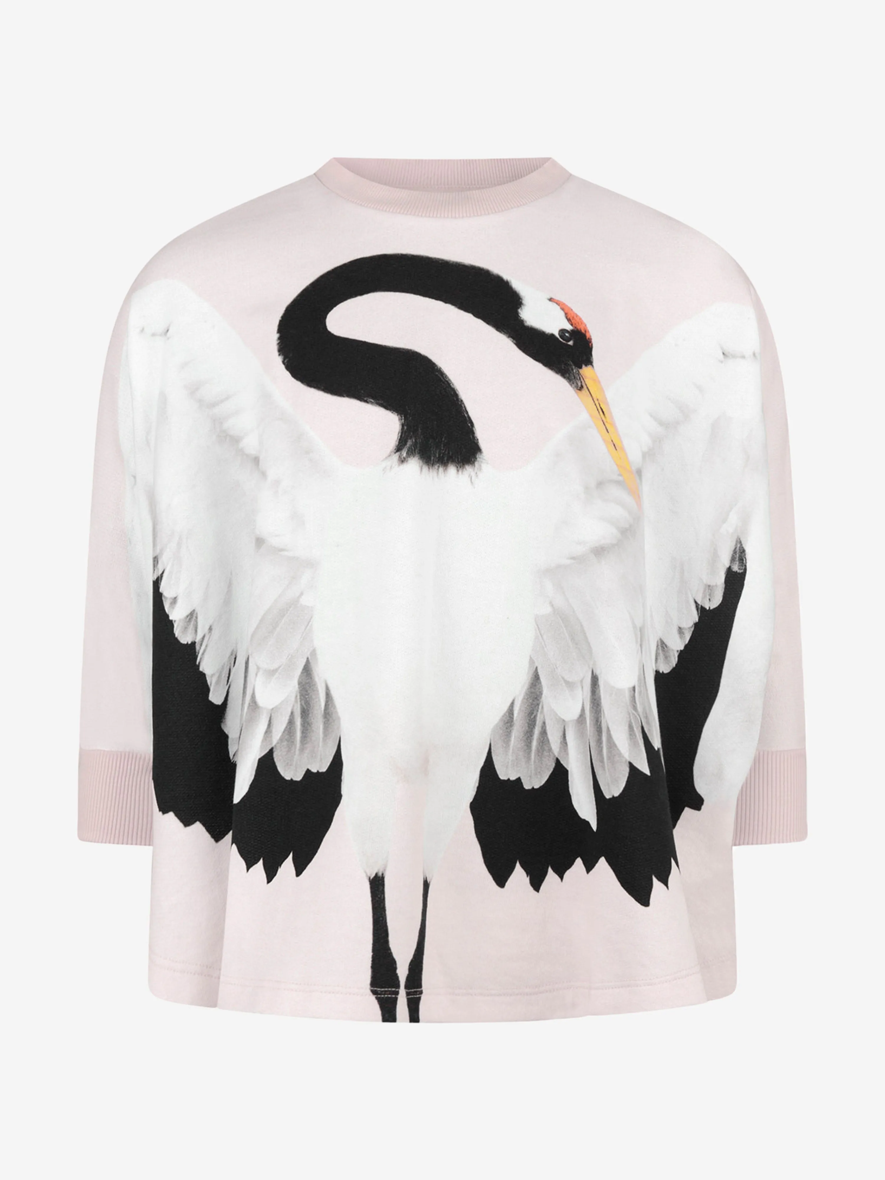 Molo Girls Organic Cotton Crane Sweater